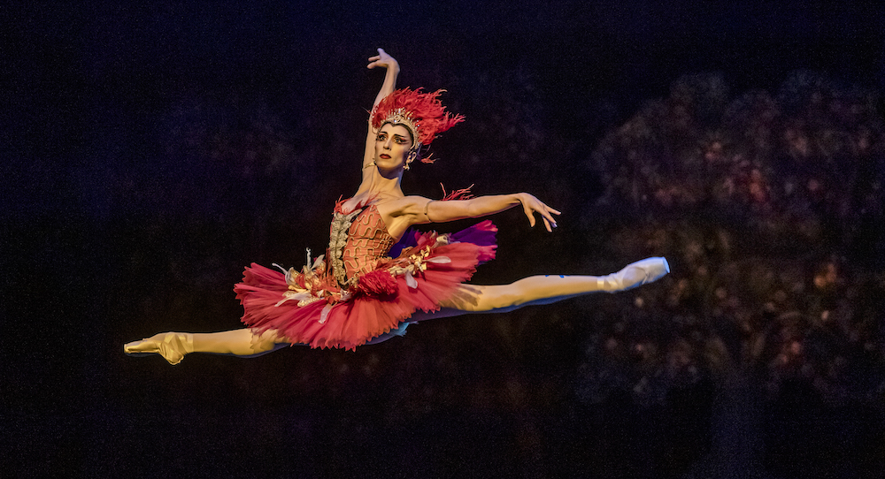 Itziar Mendizabal in The Royal Ballet's 'The Firebird.' Photo by Tristram Kenton.