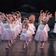 English Youth Ballet in 'Swan Lake.'