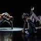 'GRAVITY' by Ryu and Friends. Photo by Tiu Makkonen.